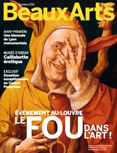 Jaquette Le fou dans l’art !