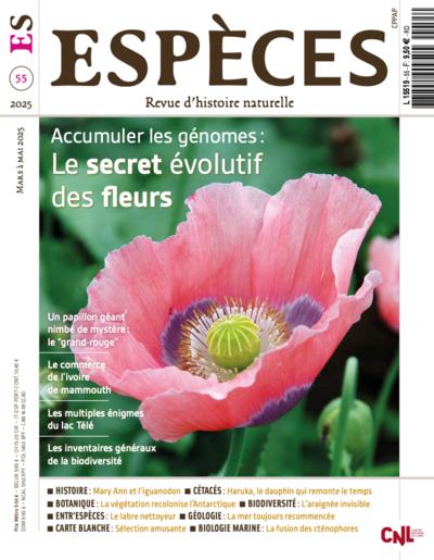 Le secret évolutif des fleurs