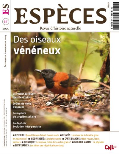 Des oiseaux vénéneux