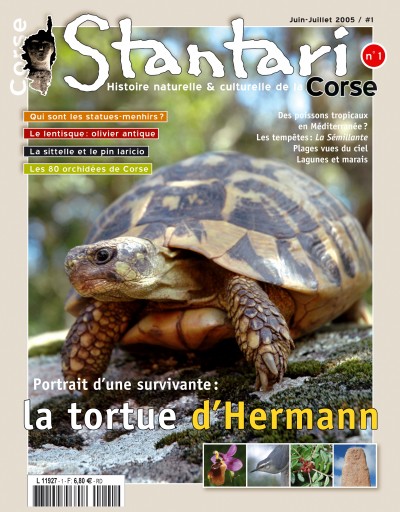 La tortue d’Hermann