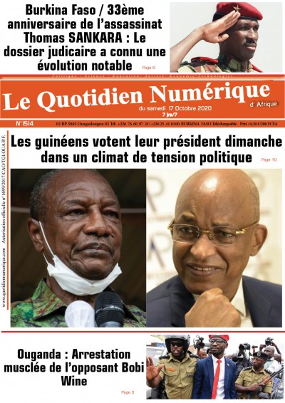 Jaquette Les guinéens votent leur président dimanche