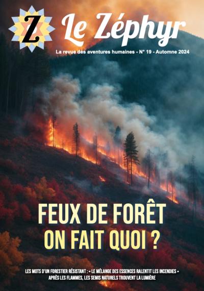 Feux de forêt