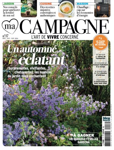 Couverture de Un automne éclatant